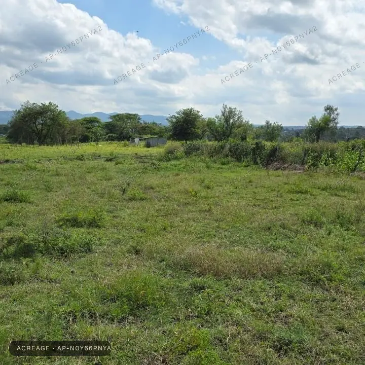 Commercial Land in Karu